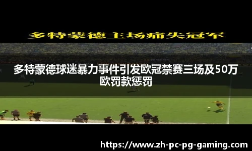 多特蒙德球迷暴力事件引发欧冠禁赛三场及50万欧罚款惩罚